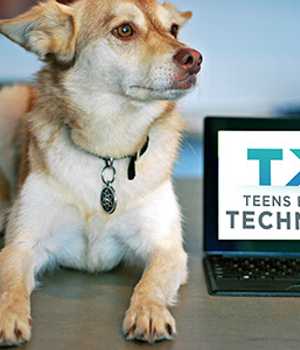 Bagel - Chief Mascot Officer